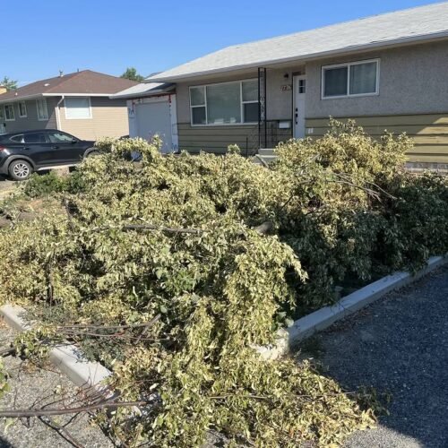 Yard Waste Disposal Kamloops: The Complete 2026 Guide (Avoid These Costly Mistakes)