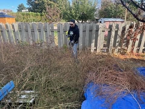 Landscaping Debris Removal in Kamloops