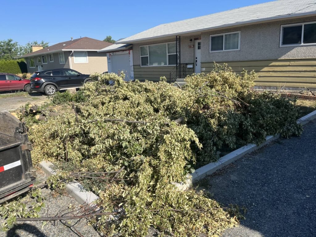 Large pile of storm debris and fallen branches outside a Kamloops home
