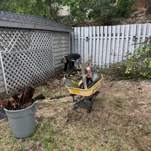 Storm Debris Removal Kamloops: What to Do With Fallen Trees, Branches, and Yard Damage After a Big Blow