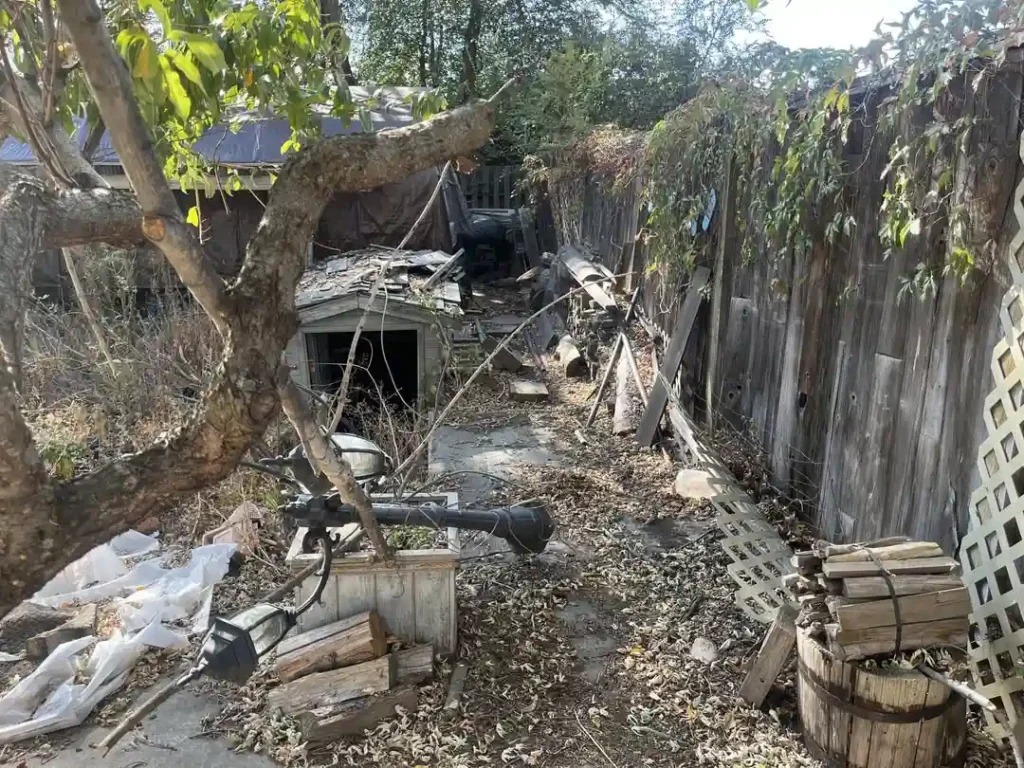 Weathered backyard shed surrounded by fallen branches, scrap wood, and yard debris.